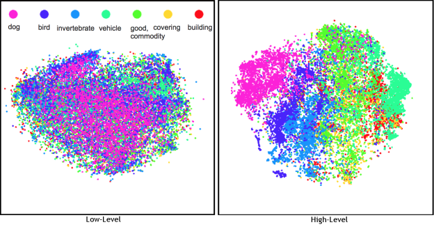 Figure 2: Projection of low-level “shallow” features (left) and high-level “deep” features (right) from a vision model where related objects group together in the deep representation. Points that are close in this visualization are close in the model representation. Each point represents the feature extracted from an image and the color marks the general category of its contents. The model was trained on precise object classes like “espresso” and “chickadee” but learned features that group dogs, birds, and even animals on a whole together despite their visual contrasts [2].