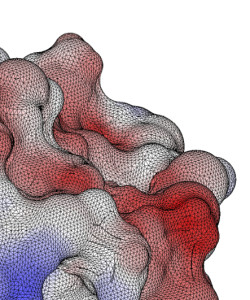 Figure 2: A close-up view of the mesh for a lysozyme molecule. The colors represent the electrostatic potential on the molecular surface.